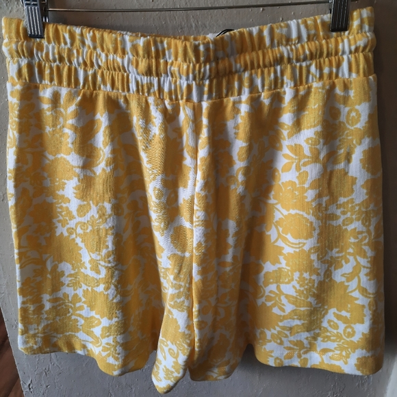 Women's size Medium Shorts. - Picture 2 of 3